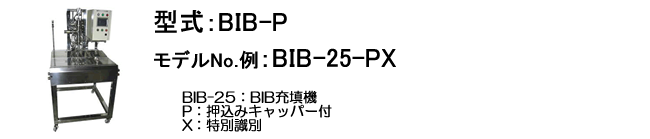 BIB-P型式表