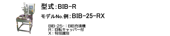 BIB-R型式表